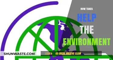 Taxes for a Greener Future: How Fiscal Policies Protect Our Planet