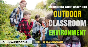 Fostering Inclusivity: Strategies for Teachers in Outdoor Learning Spaces