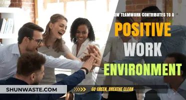 Teamwork's Impact: Fostering a Positive and Productive Work Environment
