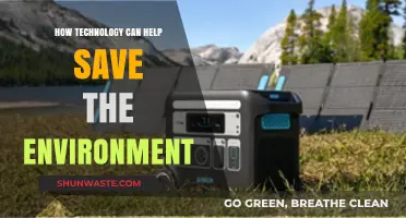 Innovative Tech Solutions: Revolutionizing Environmental Conservation Efforts Today