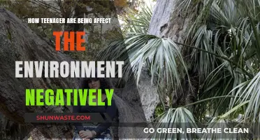 Teen Impact: Uncovering Negative Environmental Effects of Youth Actions