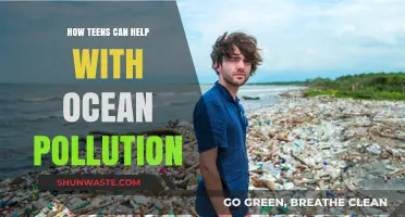 Teen Tips: Battling Ocean Pollution, One Step at a Time