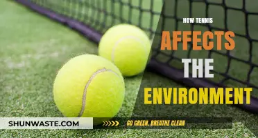 Tennis' Environmental Impact: Sustainability Challenges and Green Court Solutions