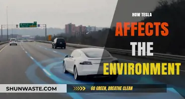 Tesla's Environmental Impact: Sustainable Innovation or Greenwashing Debate?