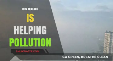 Thailand's Fight Against Pollution: Strategies and Successes