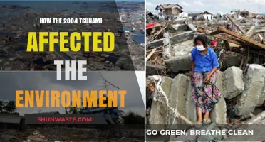 Tsunami's Environmental Impact: Unraveling the 2004 Disaster's Ecological Aftermath