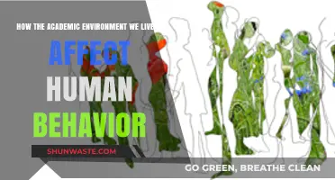Academic Environments: Shaping Human Behavior and Personal Development