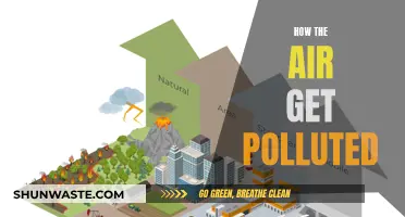Air Pollution Sources and Their Harmful Effects