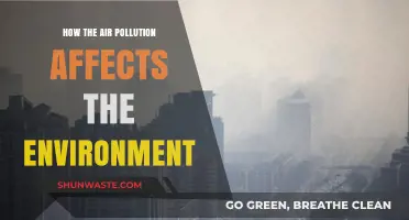 Air Pollution's Devastating Impact on Our Environment and Ecosystems