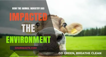 Animal Agriculture's Environmental Toll: A Comprehensive Impact Analysis
