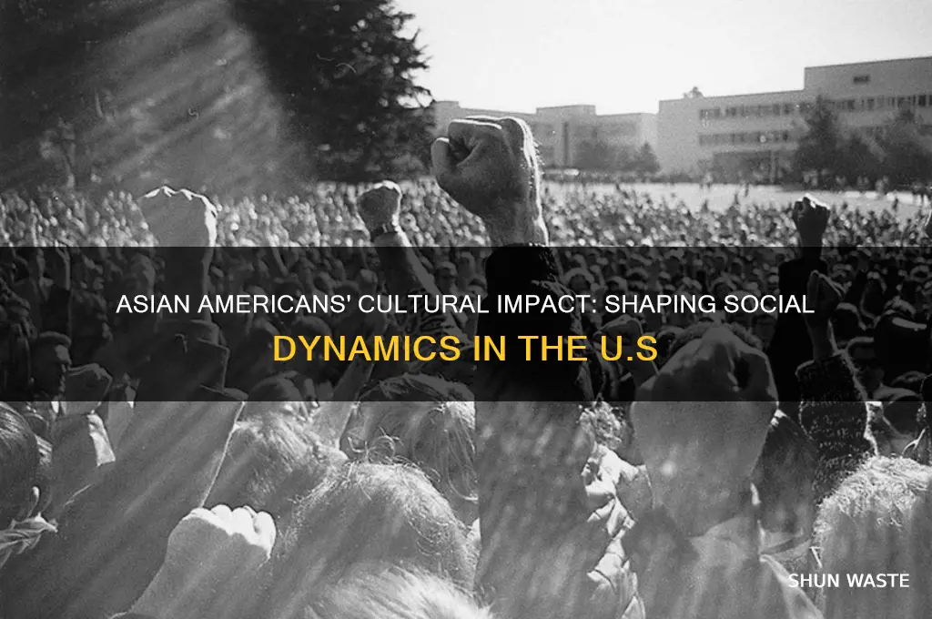 how the asian community in america affects our social environment