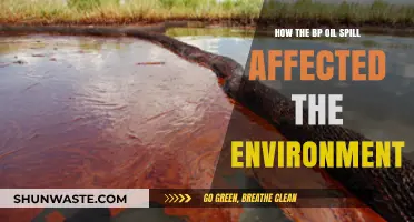 BP Oil Spill's Devastating Environmental Impact: A Comprehensive Analysis