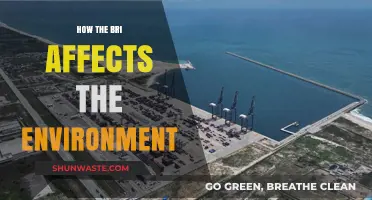 The Belt and Road Initiative's Environmental Impact: Challenges and Solutions