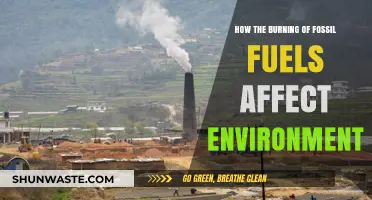 Fossil Fuel Burning: Devastating Environmental Impacts and Urgent Solutions