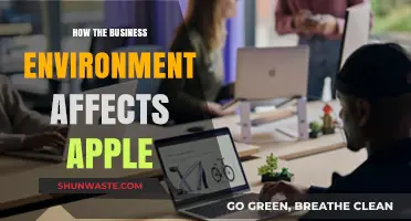 How External Factors Shape Apple's Business Environment and Strategy