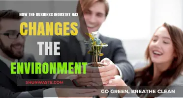 Business Evolution: Environmental Impact and Sustainable Transformation Trends