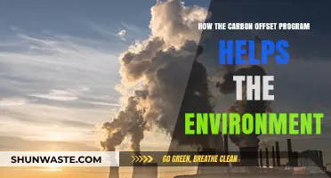 Carbon Offset Programs: A Powerful Tool for Environmental Restoration