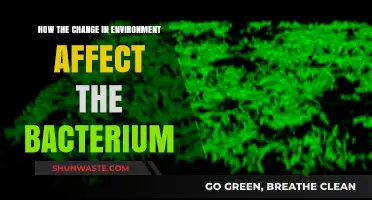 Environmental Shifts: How Changing Habitats Impact Bacterial Survival and Adaptation