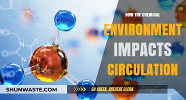Chemical Environment's Role in Shaping Circulation: Insights and Impacts