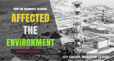 Chernobyl's Environmental Legacy: Long-Term Impacts on Nature and Ecosystems