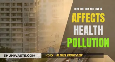 Urban Health: Pollution's Impact on City Dwellers