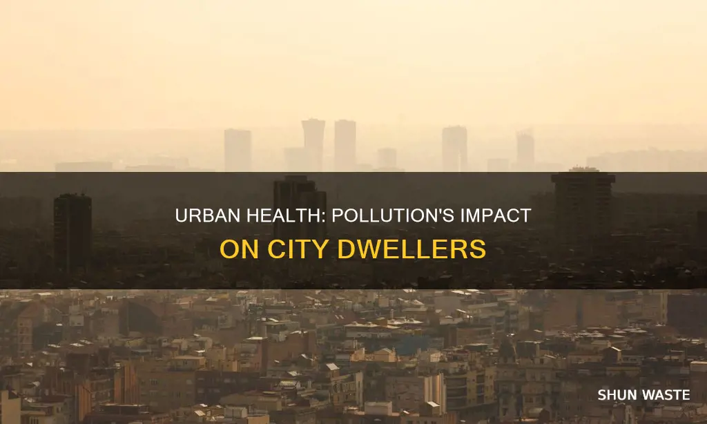 how the city you live in affects health pollution