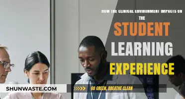 Clinical Settings: Shaping Student Learning and Professional Growth