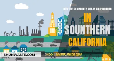 Community Action: Fighting Air Pollution in Southern California