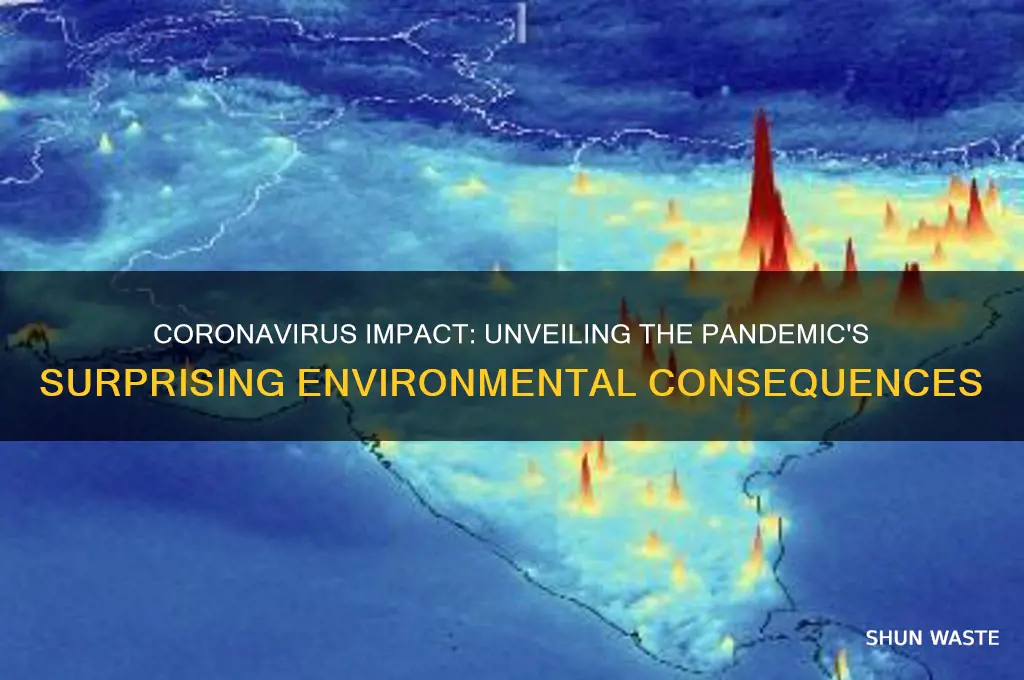 how the corona virus is affecting the environment