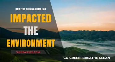 COVID-19's Environmental Paradox: Pollution Drops, Nature Rebounds, and Lessons Learned