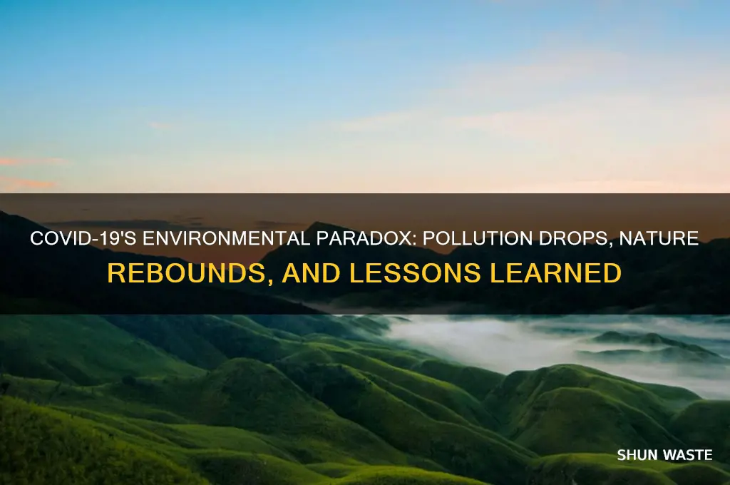how the coronavirus has impacted the environment