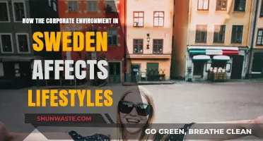 Sweden's Corporate Culture: Shaping Work-Life Balance and Daily Lifestyles