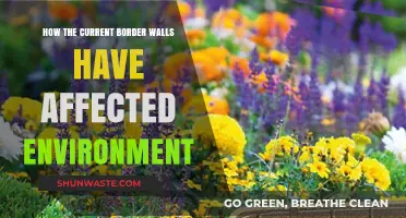Border Walls' Environmental Impact: Ecosystems, Wildlife, and Habitat Disruption
