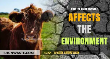 Dairy's Environmental Impact: Uncovering the Hidden Costs of Milk Production