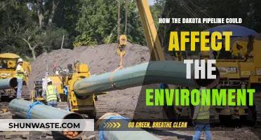 Dakota Pipeline's Environmental Impact: Risks, Concerns, and Long-Term Consequences
