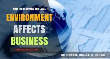 Navigating Business Success: Economic and Legal Factors Shaping Operations