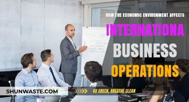 Economic Shifts: Impact on Global Business Strategies and Operations