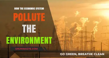 Economic Systems: Polluting the Planet