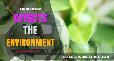 Economic Growth's Environmental Impact: Balancing Progress and Sustainability