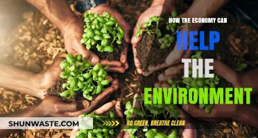 Green Growth: How Economic Strategies Can Foster Environmental Sustainability