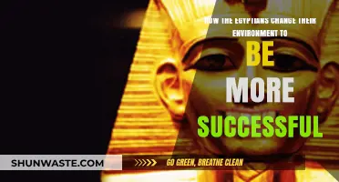 Ancient Egyptian Innovations: Transforming Their Environment for Success