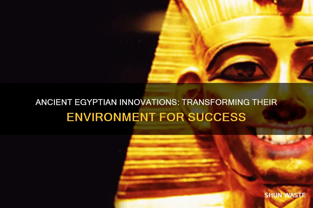 how the egyptians change their environment to be more successful