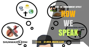 Environmental Echoes: How Surroundings Shape Our Speech Patterns