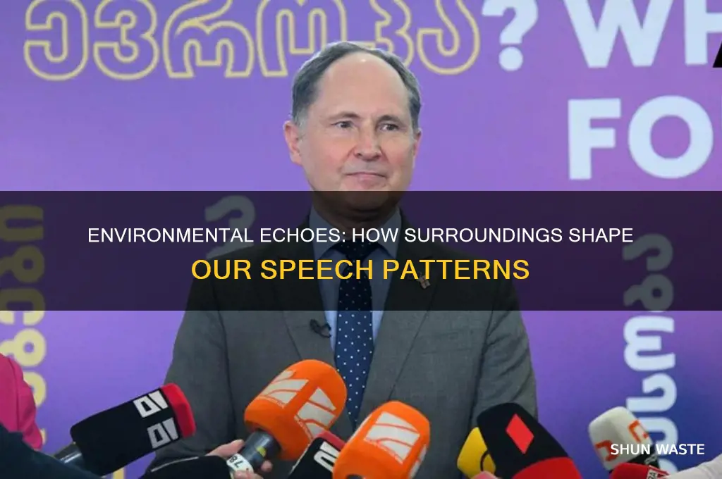 how the environment affect how we speak
