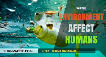Environmental Impact on Humans: Health, Behavior, and Societal Shifts Explored