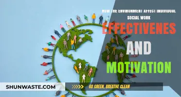 Environmental Impact on Social Work: Motivation and Effectiveness Explored