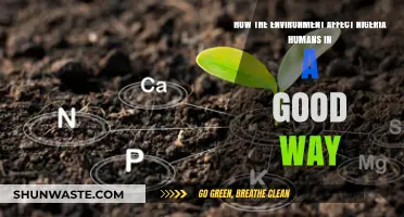 Nigeria's Environment: Positive Impacts on Human Health and Well-being