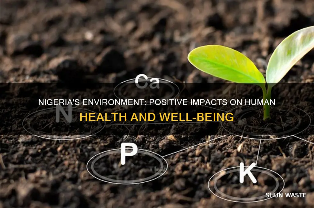how the environment affect nigeria humans in a good way