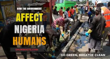 Environmental Impact on Nigeria: How Nature Shapes Human Lives and Health