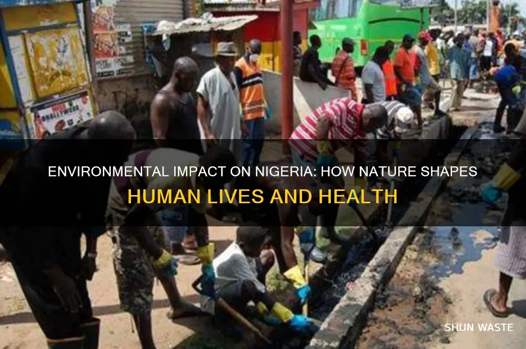 how the environment affect nigeria humans